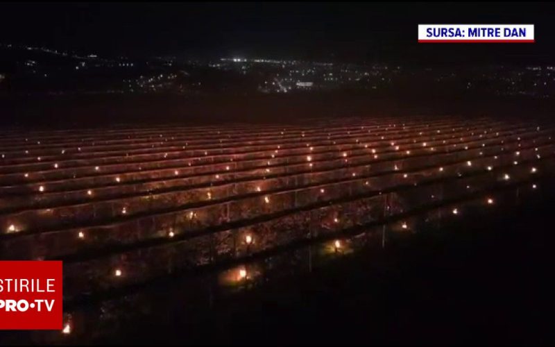 Cluj: Fermierul a aprins 4.000 de lumânări ca să-și salveze livada. Cost 40.000 euro
