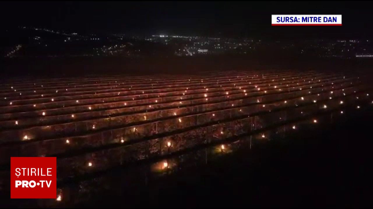 Cluj: Fermierul a aprins 4.000 de lumânări ca să-și salveze livada. Cost 40.000 euro