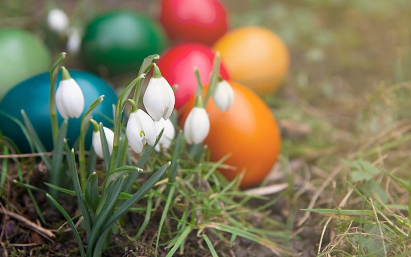 Vremea de Paște: Cod galben de vânt puternic! Rafale de 90 km/h