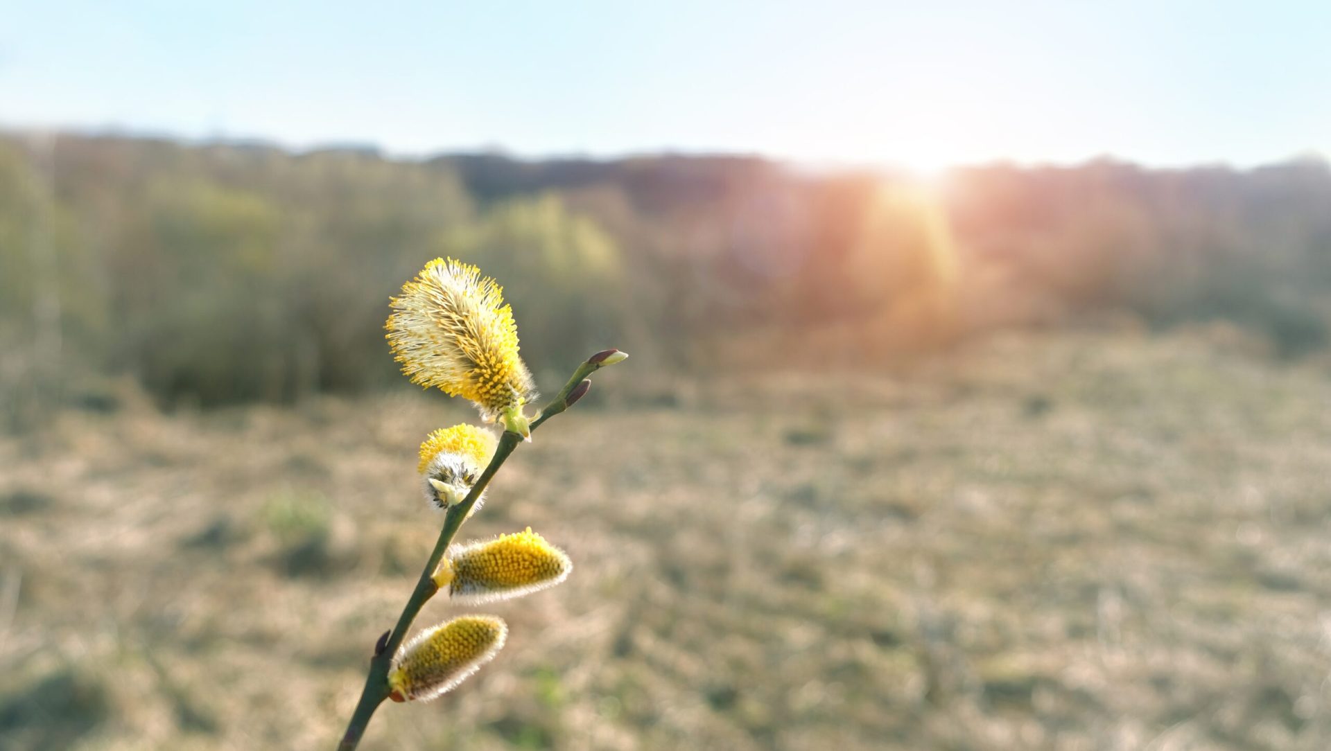Vremea dă peste cap Paștele: Meteorologii anunță schimbări radicale
