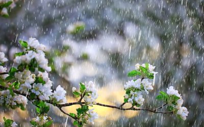 Meteorologii Spun: Vreme rece și ploi în România de 1 Mai