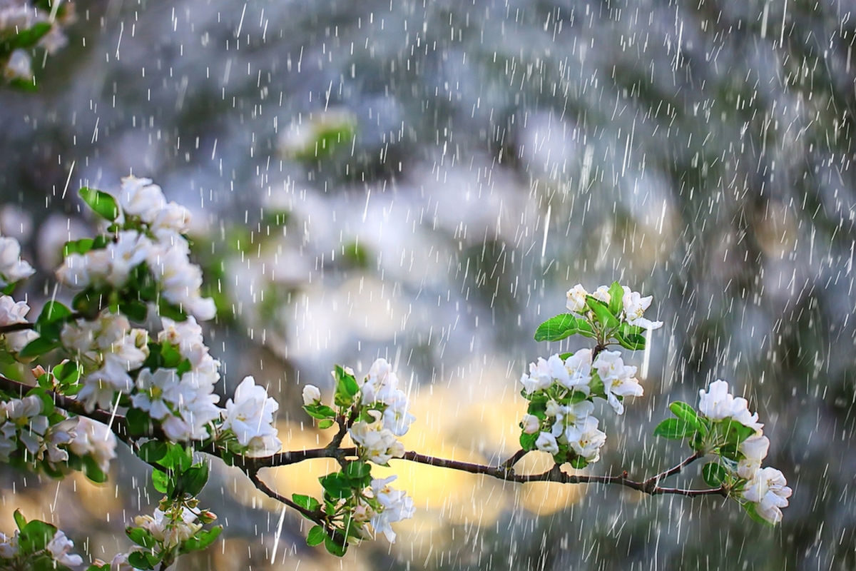 Meteorologii Spun: Vreme rece și ploi în România de 1 Mai