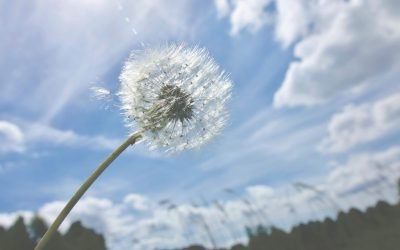 Vremea se încinge în România: ANM anunță caniculă prelungită pentru următoarele săptămâni