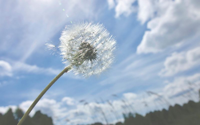 Vremea se încinge în România: ANM anunță caniculă prelungită pentru următoarele săptămâni