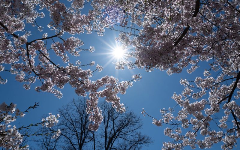 Vreme de 1 Mai: Ce ne așteaptă? Meteorologii au făcut anunțul!