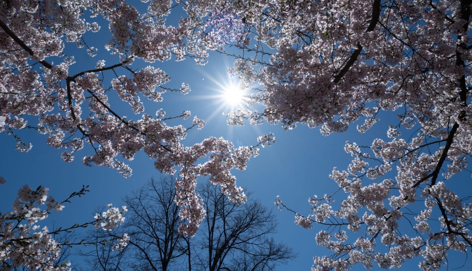 Vreme de 1 Mai: Ce ne așteaptă? Meteorologii au făcut anunțul!