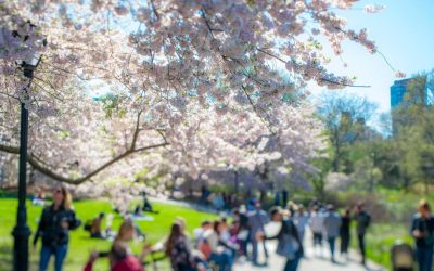 Vremea se încălzește dramatic în România: Prognoza meteo pe 4 săptămâni