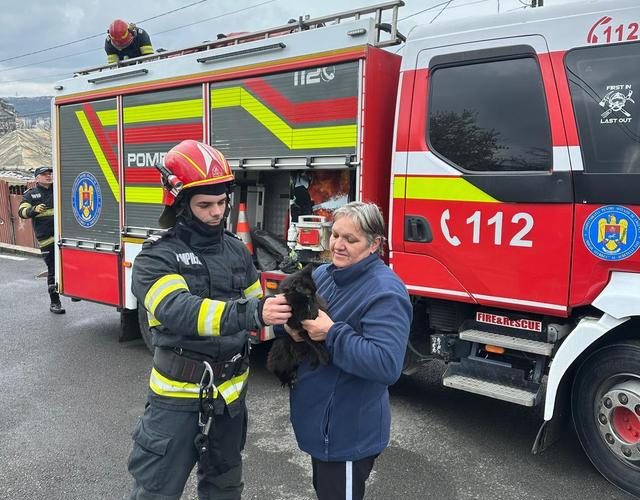 Un motan aventuros a fost salvat de pompierii din Iași, vineri, după ce a rămas blocat la o înălțime de 12 metri într-un brad