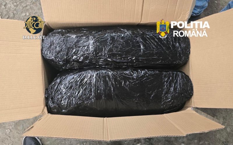 Captură spectaculoasă la Târgu Mureș: 13 kg de canabis, aduse din Spania