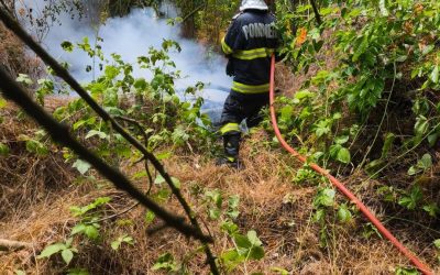Incendiu devastator în Caraș-Severin: Un nou focar mistuie pădurea!