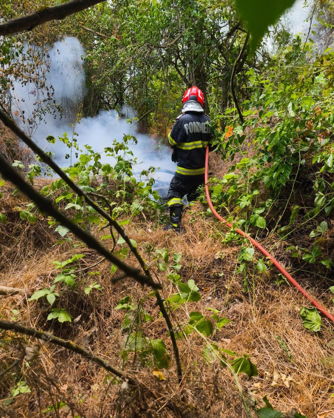Incendiu devastator în Caraș-Severin: Un nou focar mistuie pădurea!