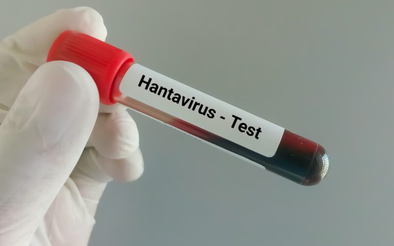 Hantavirus ucigător pe o navă de croazieră: Ce riscuri sunt în România?