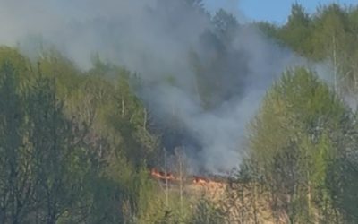 Incendiu puternic în Bistrița-Năsăud: Focul mistuie pășunea de pe Valea Anieșului