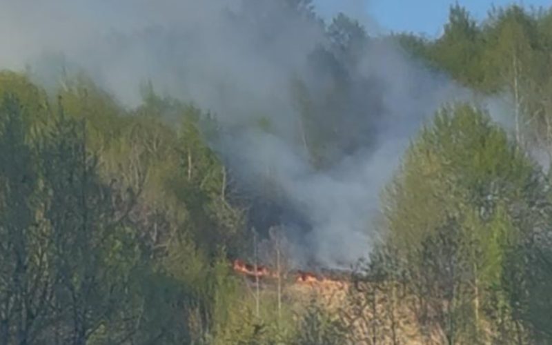 Incendiu puternic în Bistrița-Năsăud: Focul mistuie pășunea de pe Valea Anieșului