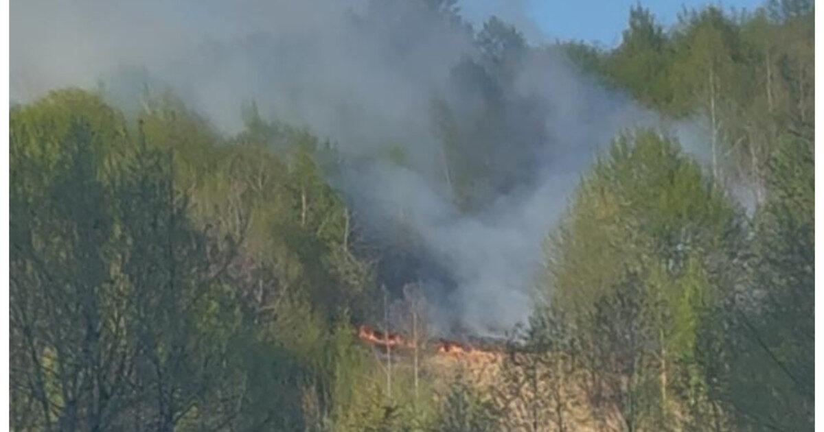 Incendiu puternic în Bistrița-Năsăud: Focul mistuie pășunea de pe Valea Anieșului