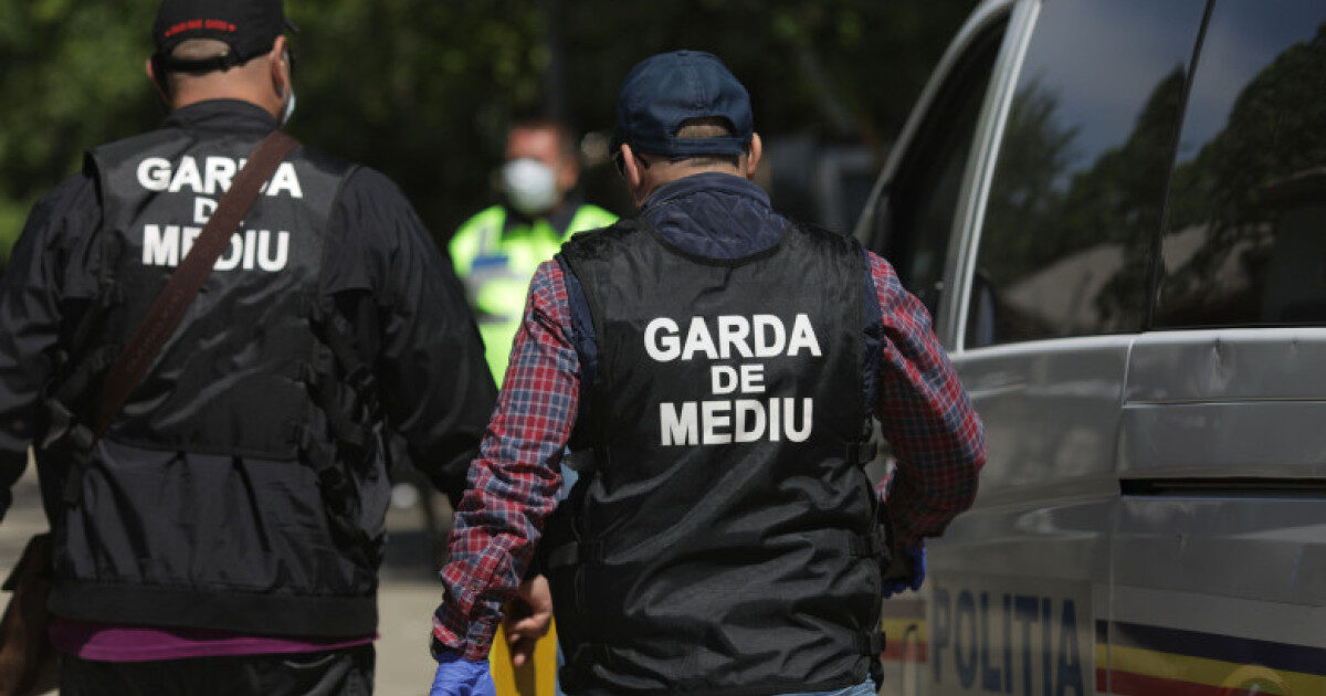 Garda de Mediu: Risc profesional maxim, salarii de coșmar pentru sindicaliști
