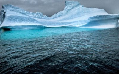 Apele adânci topesc Antarctica: Ghețarii, în pericol din cauza temperaturilor crescute