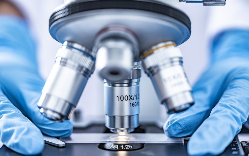 UE trimite antiviral experimental în Spania, Franța și OLANDA, în lupta cu hantavirusul