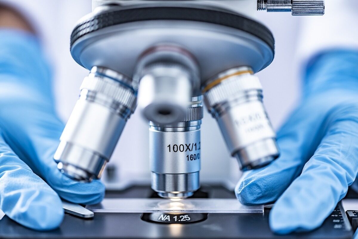 UE trimite antiviral experimental în Spania, Franța și OLANDA, în lupta cu hantavirusul