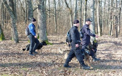 Dronă misterioasă, fără explozibil, descoperită în Maramureș: Zona, securizată