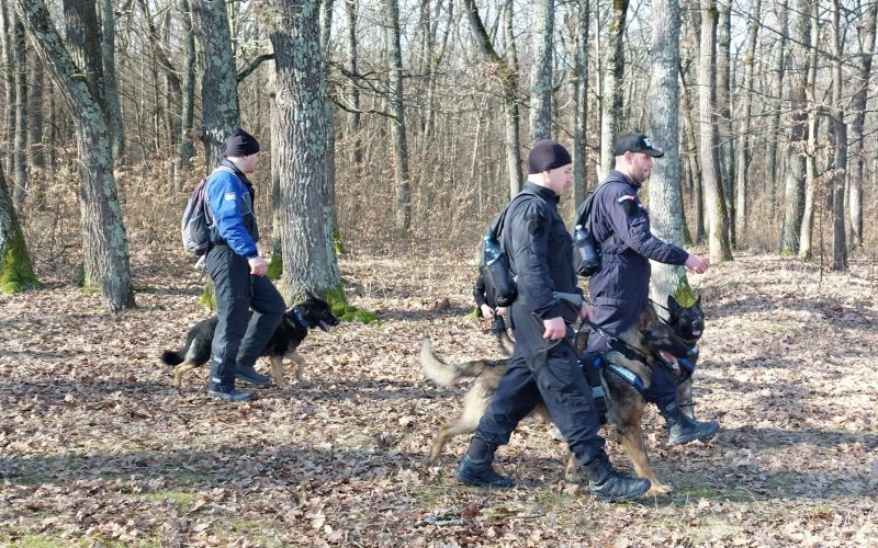 Dronă misterioasă, fără explozibil, descoperită în Maramureș: Zona, securizată