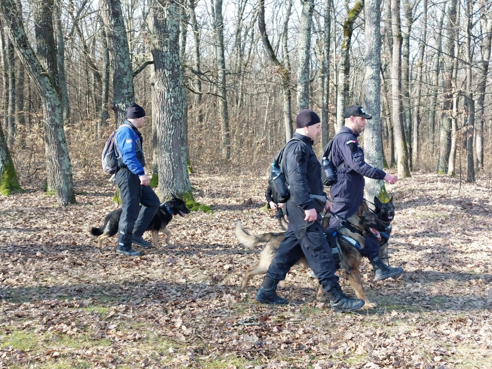 Dronă misterioasă, fără explozibil, descoperită în Maramureș: Zona, securizată