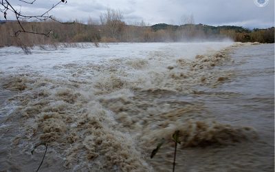 Valuri de Foc în 3 Județe: Cod Portocaliu Până Duminică