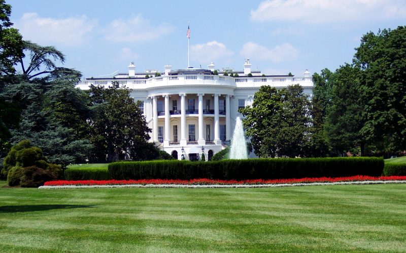 Trump face din Casa Albă ring MMA la 80 de ani