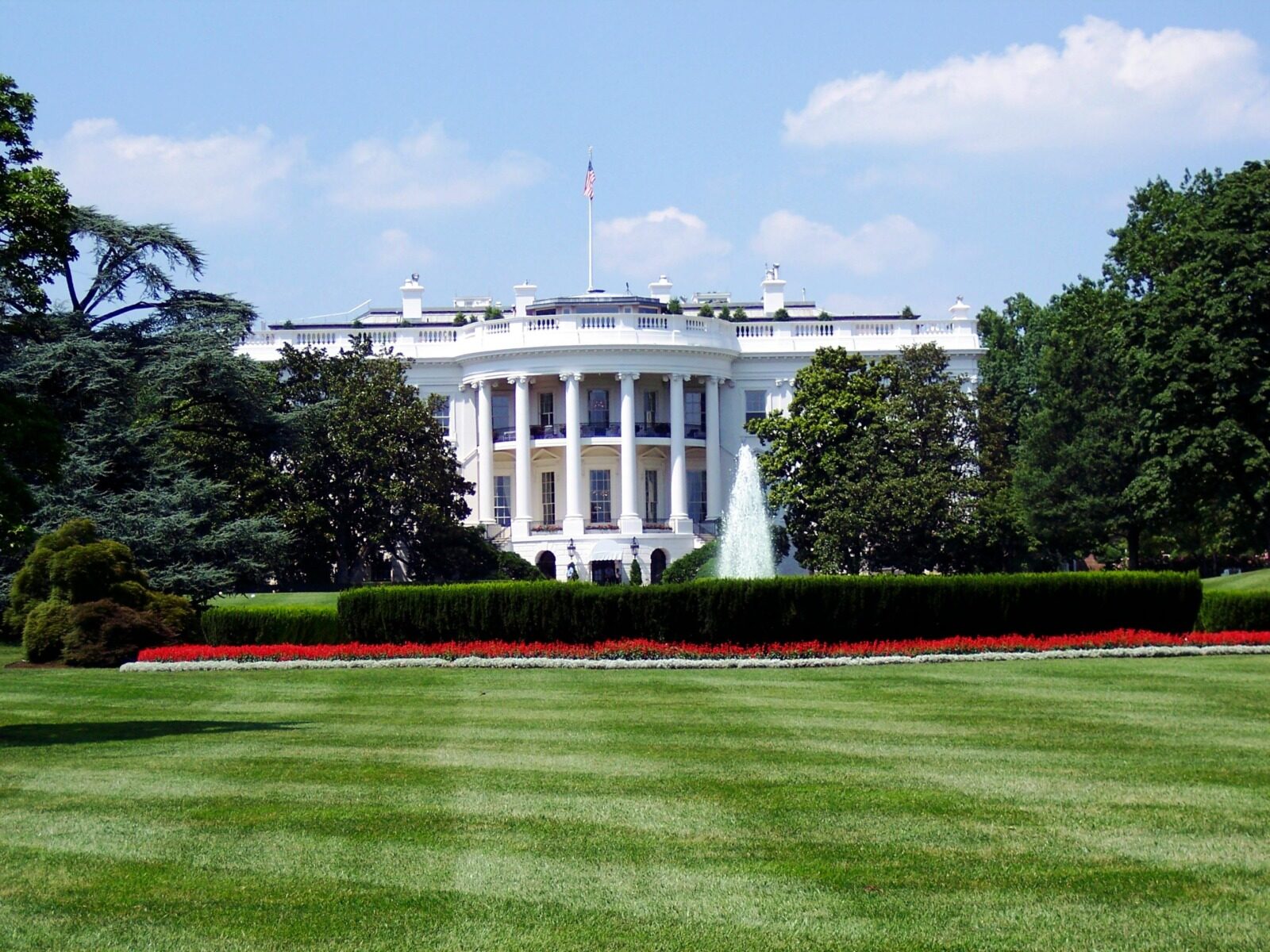 Trump face din Casa Albă ring MMA la 80 de ani