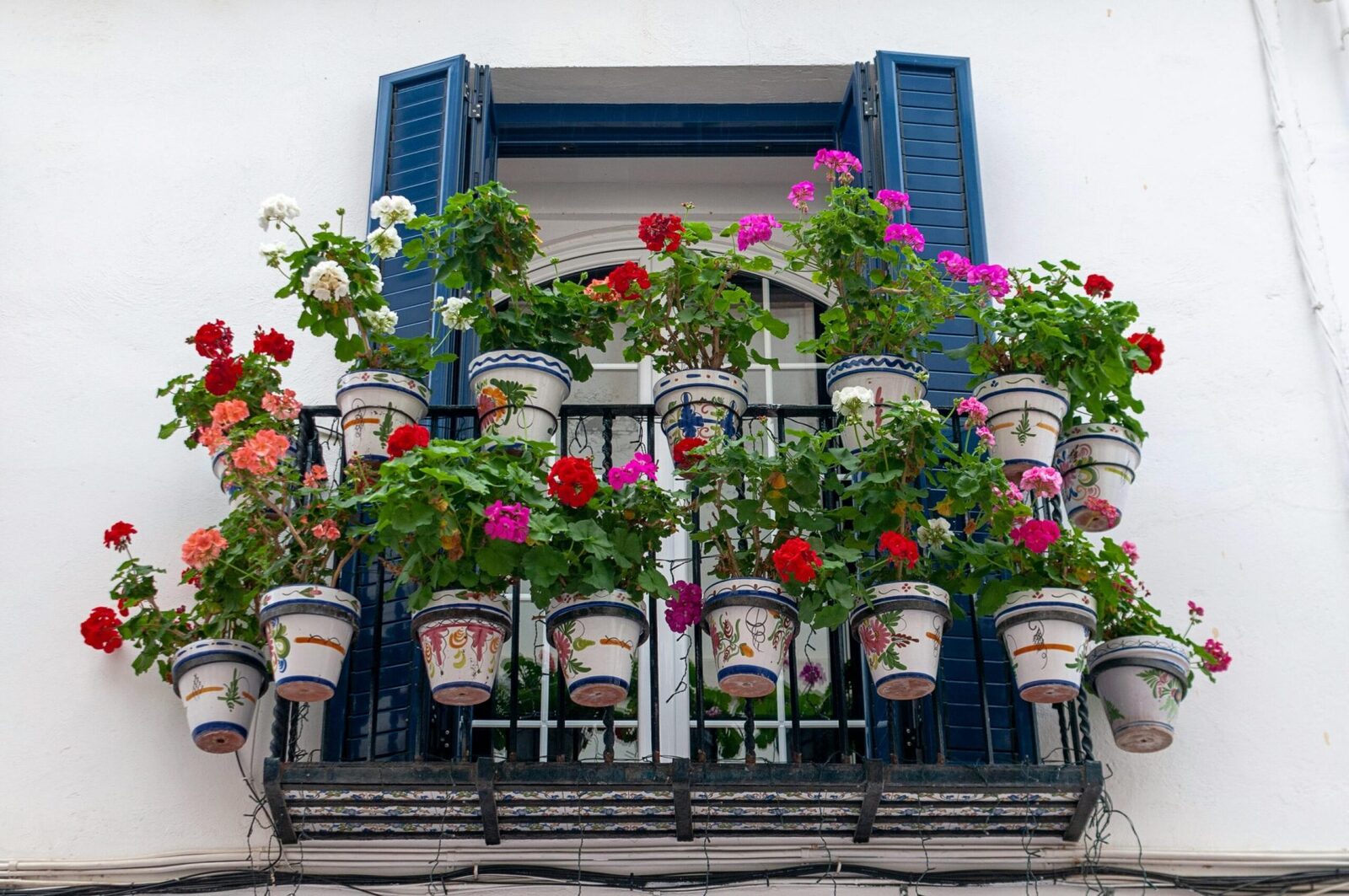 Plante pentru balcon: Rezistă la canicula din România