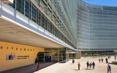 Școală Profesională în Europa: Stagiile Plătite, Oportunitate Unică