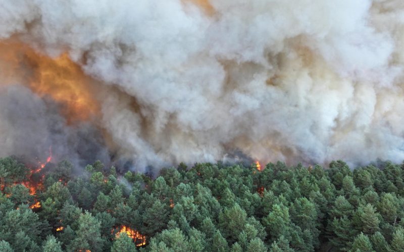 Incendiu major la Fontainebleau, suspectat a fi provocat
