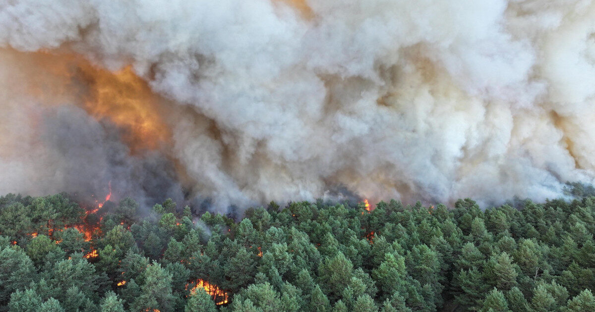 Incendiu major la Fontainebleau, suspectat a fi provocat