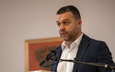 Ciucu: Psihoza din PNL, discuții despre pădure și sistem