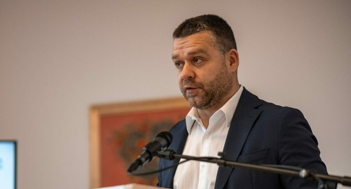 Ciucu: Psihoza din PNL, discuții despre pădure și sistem