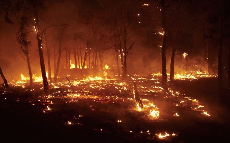 Spaniolii, loviți de foc: 12 morți, străini majoritari