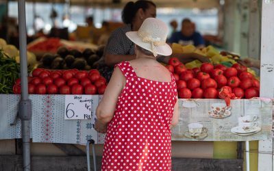Prețuri agricole jos, alimente sus: Paradoxul pieței românești