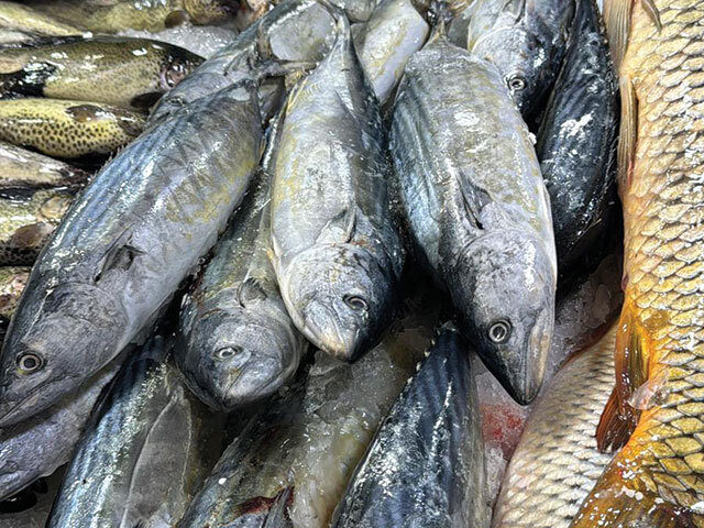 Botoșani: Fermier piscicol sufocat de importuri, fără desfacere