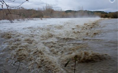 Cod galben de viituri: Avertizare ANM pentru mai multe județe