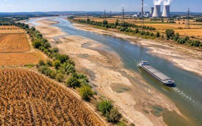 Canicula, seceta lovesc Europa: Pierderi de 180 miliarde euro
