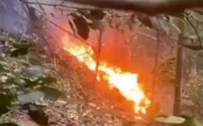 Elicopter căzut în Rio: Tragedie în familie la o aniversare