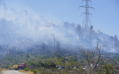 Grecia: Niciun român, rănit în incendiile devastatoare
