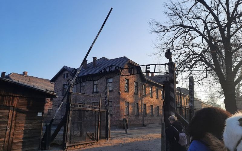 Polonia: Lider dreapta-extremă, acuzat de negarea Holocaustului