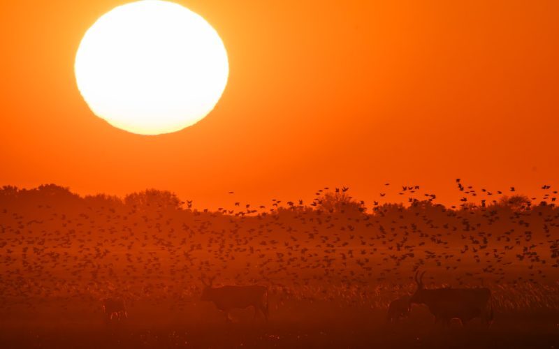 Piros figyelmeztetést kapott három megye holnapra