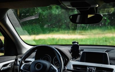 Insecte pe parbriz: Experții explică alarma