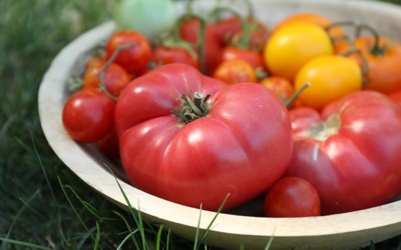 Roșiile coapte în august: Sfatul expertului Monty Don