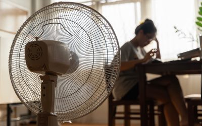 Răcori vechi: Cum scăpau românii de căldură, soluții valabile și azi