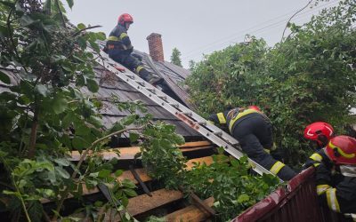 Furtuna a făcut prăpăd: Acoperișuri și copaci la pământ