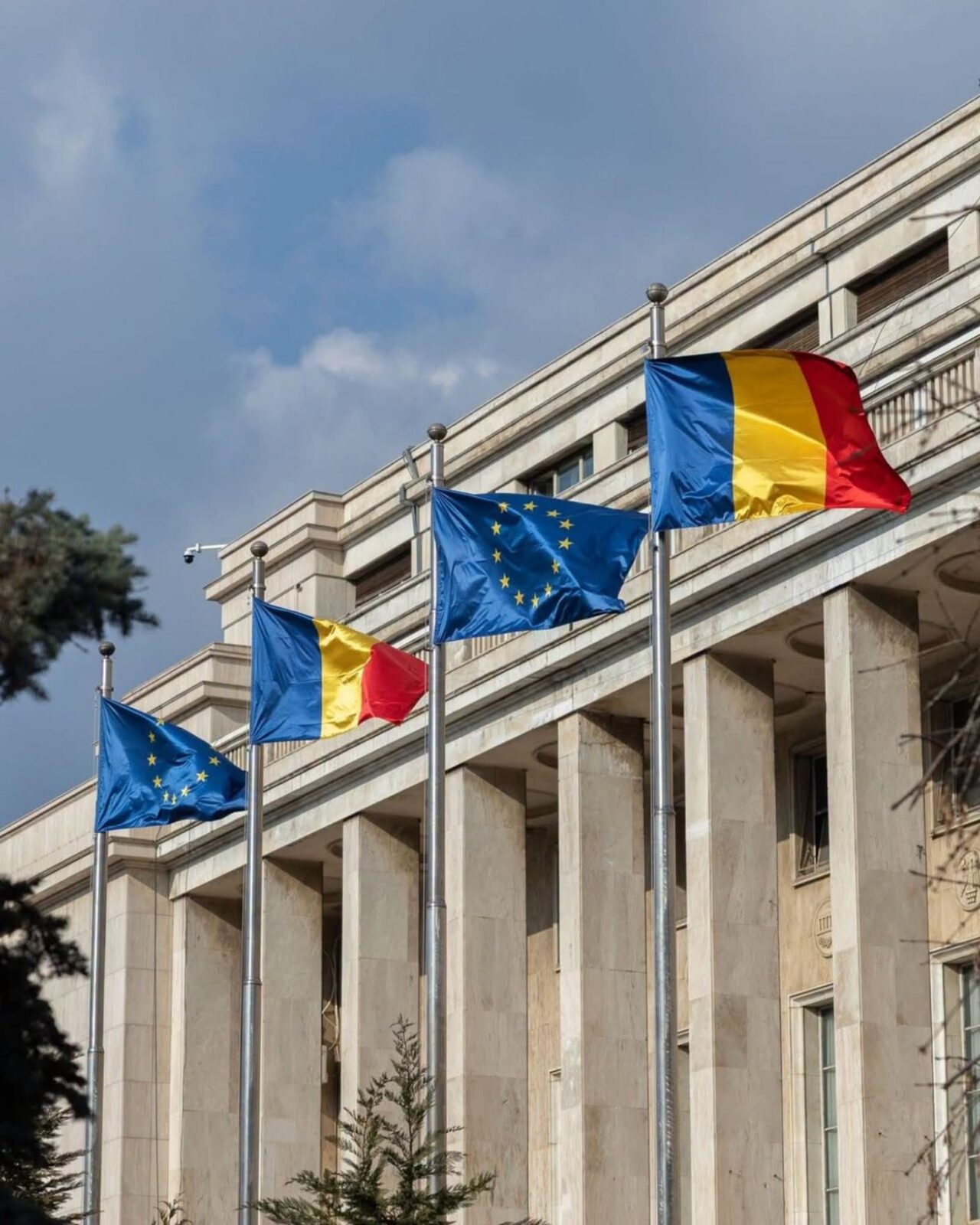 Diaspora, 200.000 euro pentru afaceri acasă