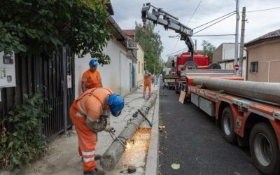 Expoziției scapă de stâlpii vechi de beton